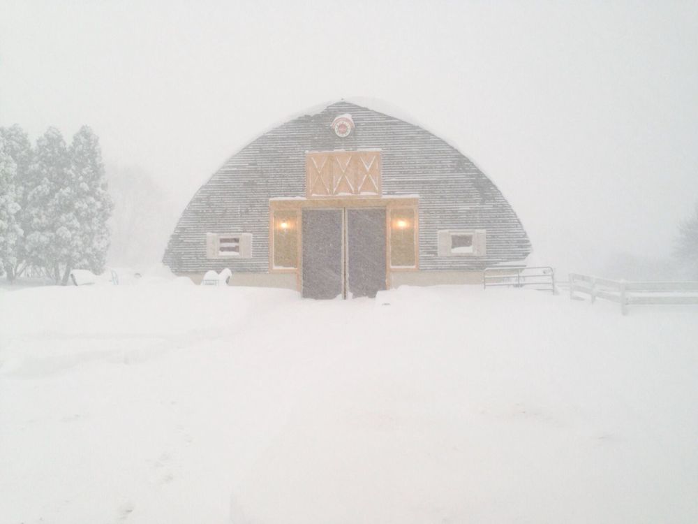 Orchard Park Equestrian - equestrian in Orchard Park, NY