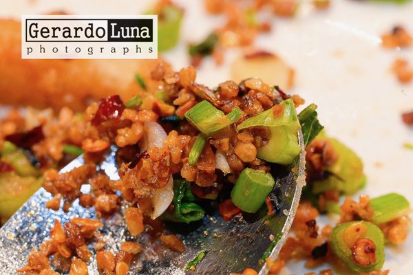 Yummy House China Bistro Tampa by null
