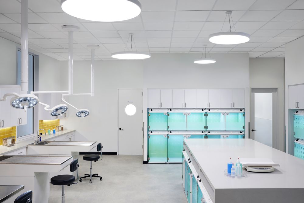 MODERN ANIMAL AUSTIN Request Consultation 1100 S Lamar Blvd