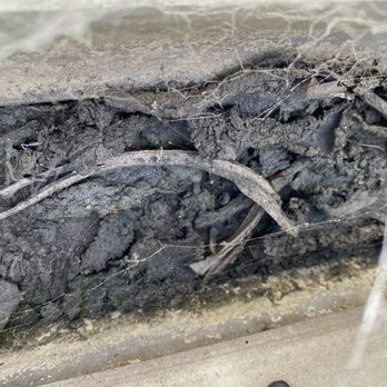 Gutter Guru - Before cleaning gutter, filled with dirt and debris - Gutter Services Near Me - Carlsbad, California