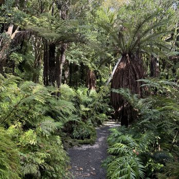 The Auckland Domain - Parks Near Me - Auckland, AUK The Auckland Domain - Parks Near Me - Auckland, AUK