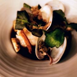 Barndiva - Black Cod