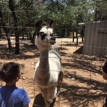 Austin Zoo - Zoos Near Me - Austin, Texas