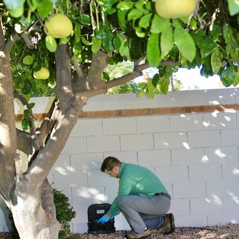 Eco Valley Pest Control - Placing rodent stations in areas where the rodents are is crucial! - Pest Control Near Me