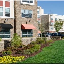 Proline Landscaping & Pavers