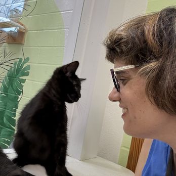 DeLand Cat Cafe - Myself and one of the black kittens having a bonding moment - Themed Cafes Near Me - DeLand, Florida DeLand Cat Cafe - Myself and one of the black kittens having a bonding moment - Themed Cafes Near Me - DeLand, Florida
