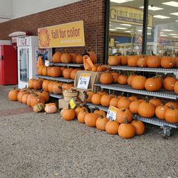 Price Chopper - Pumpkins