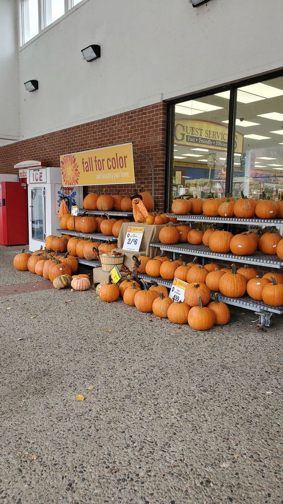 PRICE CHOPPER Updated September 2024 29 Reviews 10 Paper Mill Dr