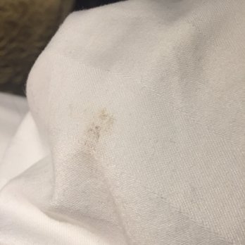 Edinburgh Marriott Hotel - Bed comforter - Hotels Near Me - Edinburgh, EDH