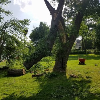 Quick N' Clean Services - Tree Service - Tree Services Near Me - Mayer, Minnesota Quick N' Clean Services - Tree Service - Tree Services Near Me - Mayer, Minnesota