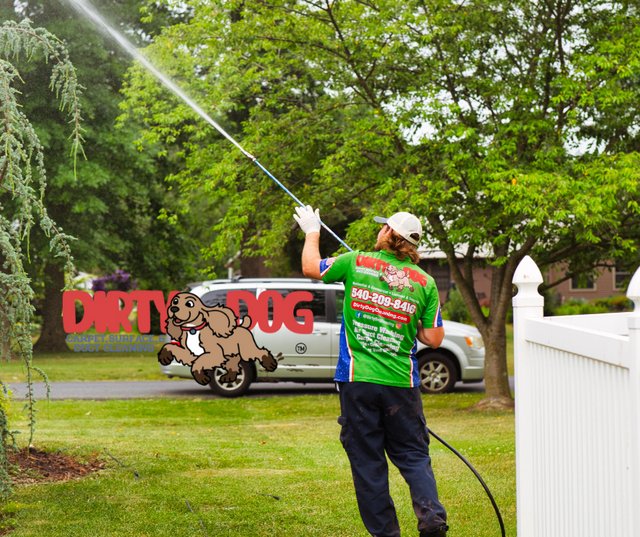 DIRTY DOG CARPET, SURFACE AND DUCT CLEANING Updated July 2024 24