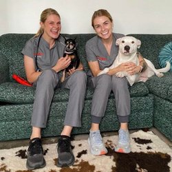 The Vets - Mobile Vet Care in Charlotte