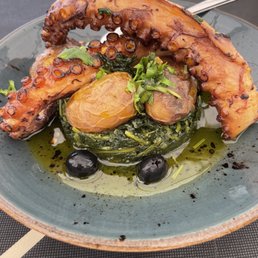 Octopus