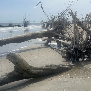 Botany Bay Plantation - Driftwood beach - Parks Near Me - Edisto Island, South Carolina