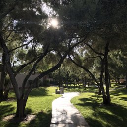 Beautiful early morning walk! Beautiful early morning walk!