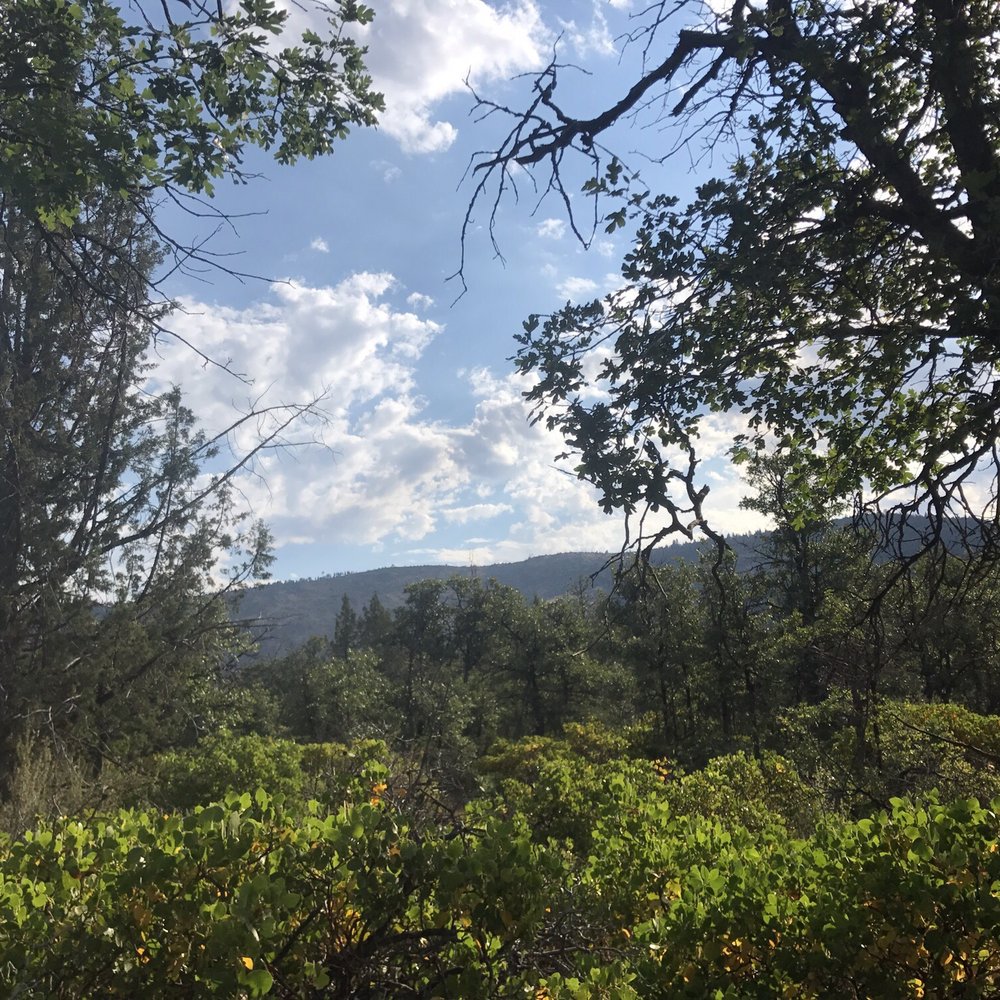 Lassen RV Resort - RV Parks Near Me - McArthur, California Lassen RV Resort - RV Parks Near Me - McArthur, California