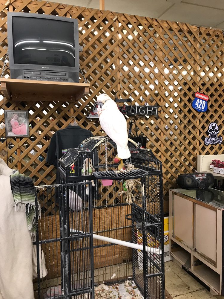 WHOLESALE TOBACCO & ALE 10 Photos 1610 Sam Rittenberg Blvd