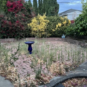 Modern Maintenance - Before - Lawn Services Near Me