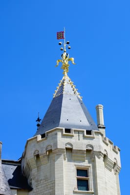 Château de Saumur by null