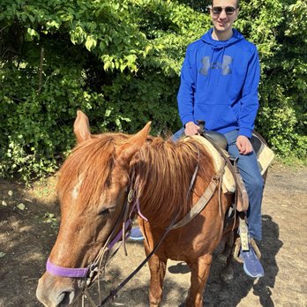 Rolling Hills Ranch - Horseback Riding Near Me - Bridgeville, Pennsylvania Rolling Hills Ranch - Horseback Riding Near Me - Bridgeville, Pennsylvania