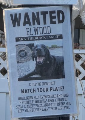 Cockrell Hard Cider by null