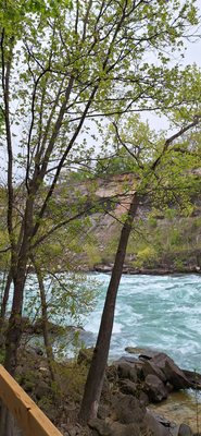 White Water Walk by null