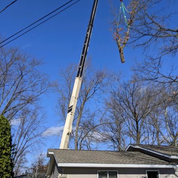 Lakes Forestry Tree Service - Crane lifting the tree over the house - Tree Services Near Me - Walled Lake, Michigan