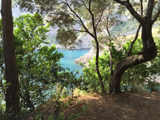 Baia di Ieranto by null
