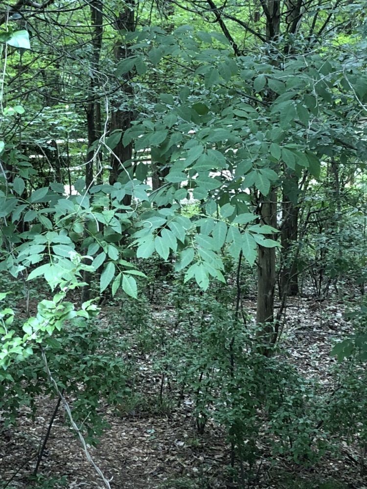 Grace Counseling - grief counselor in Charlotte, NC