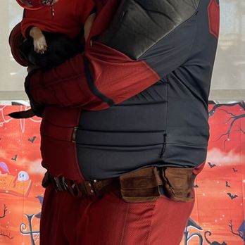 Rosecrans Veterinary Clinic - Deadpool with his Dogpool - Veterinarians Near Me - Hawthorne, California