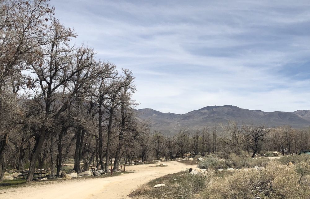 BAKER CREEK CAMPGROUND Updated August 2024 Baker Creek Rd, Big Pine