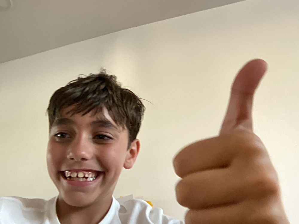 The Green Standard - tree service in Miami, FL