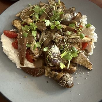 Create At 48 - Eggplant appetizer - A dish featuring cooked eggplant slices garnished with microgreens, served on a gray plate. The eggplant is dusted with a light powder and accompanied by a creamy white sauce with red pepper slices. The presentation emphasizes fresh herbs and a rustic style, suitable for a farm-to-table dining experience. - Personal Chefs Near Me - Gettysburg, Pennsylvania