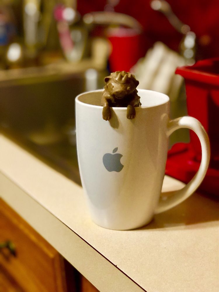 THE SPICE & TEA EXCHANGE 20 Photos & 15 Reviews Herbs & Spices 80