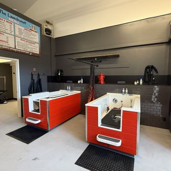 Wash Your Dog Spot - Pet Groomers Near Me - Springfield, Oregon Wash Your Dog Spot - Pet Groomers Near Me - Springfield, Oregon