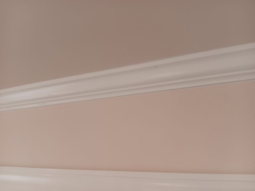 Slide of Pakmarica Painters Florida