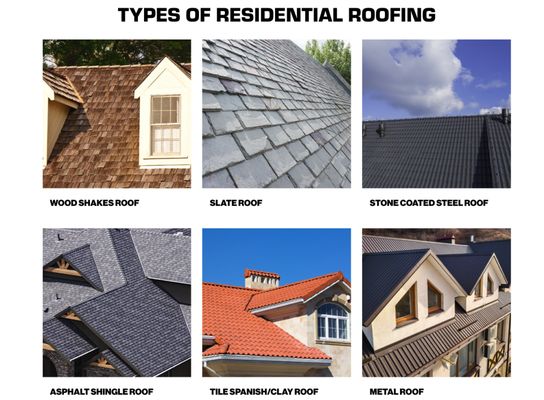 Mighty Dog Roofing of Fort Myers