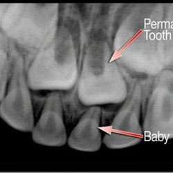 Crossroads Dental - Untitled