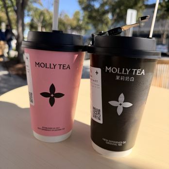 Molly Tea - Bubble Tea Near Me - Santa Clara, California
