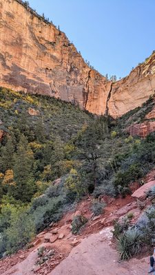 Boynton Canyon Trail by null