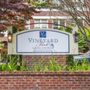 Vineyard Park Queen Anne