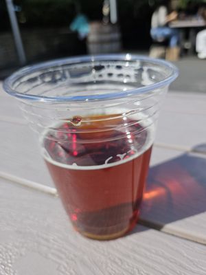 Manor Hill Brewing by null