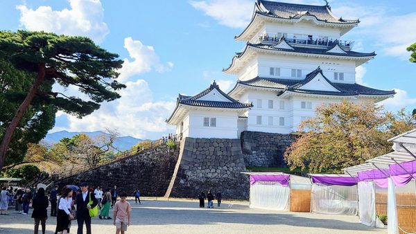 Odawara Castle by null