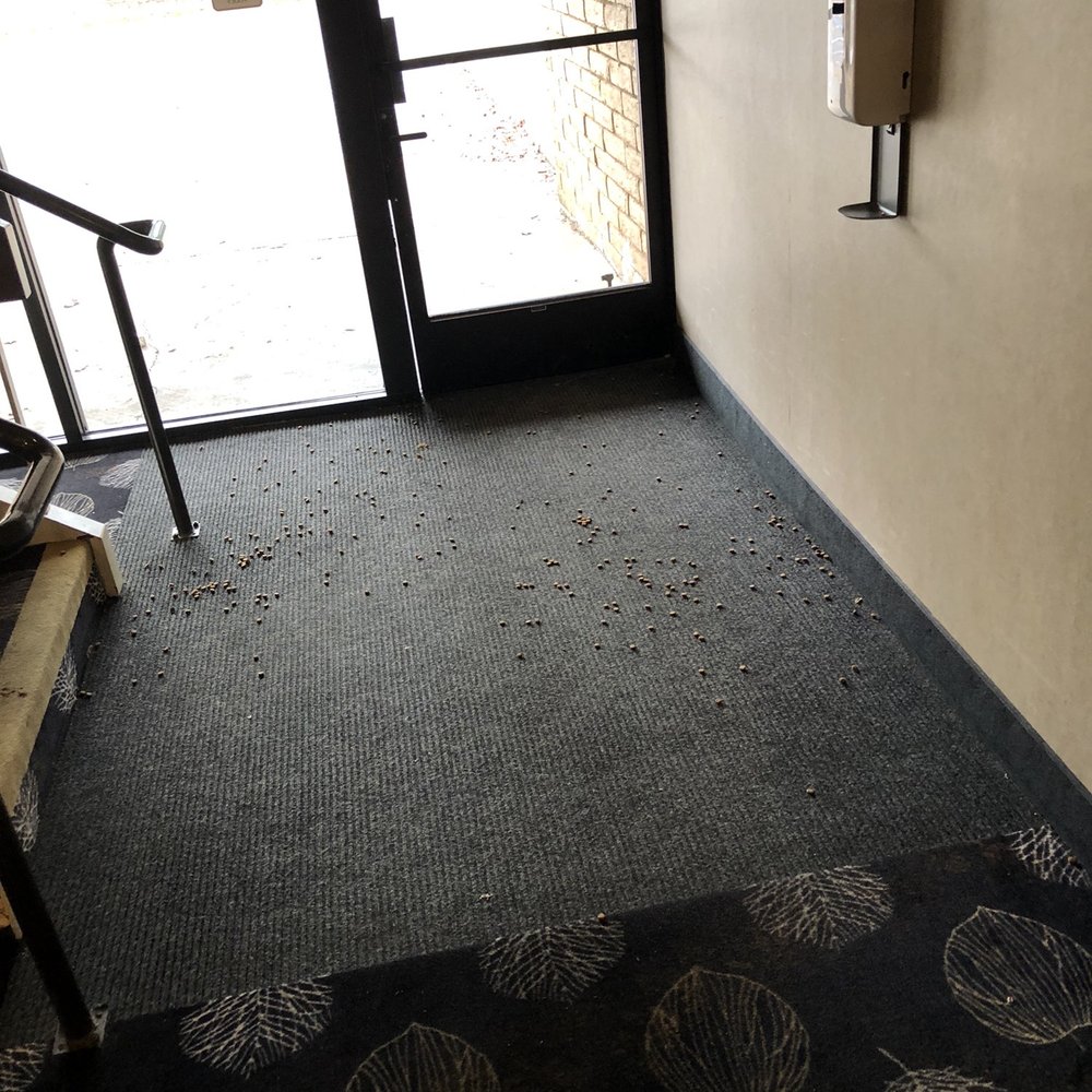 Red Lion Hotel Redding - Dog food all over the floor - Hotels Near Me - Redding, California
