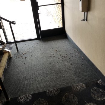Red Lion Hotel Redding - Dog food all over the floor - Hotels Near Me - Redding, California