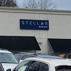 Stellar Bodies