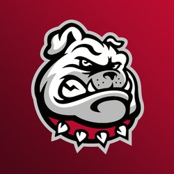 Bulldog Siding & Decks - Bulldog Roofing Repair Logo
