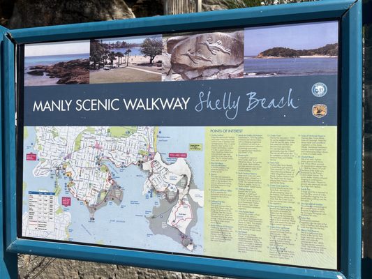 Shelly Beach by null