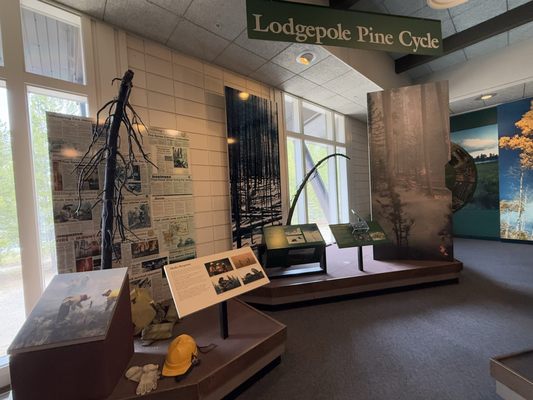 Grant Village by null