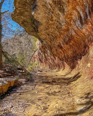 Lost Maples State Natural Area by null